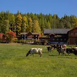 Romenstad 펜션 Rendalen