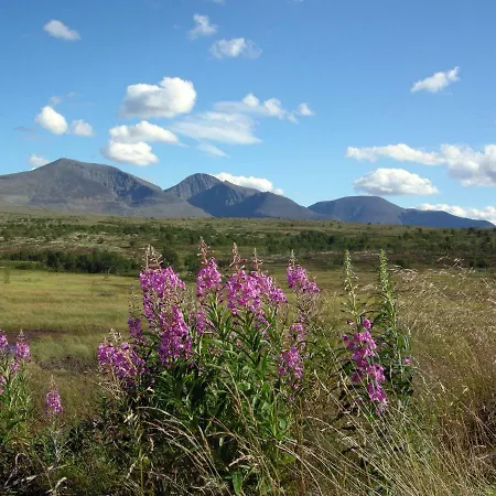 Romenstad Rendalen